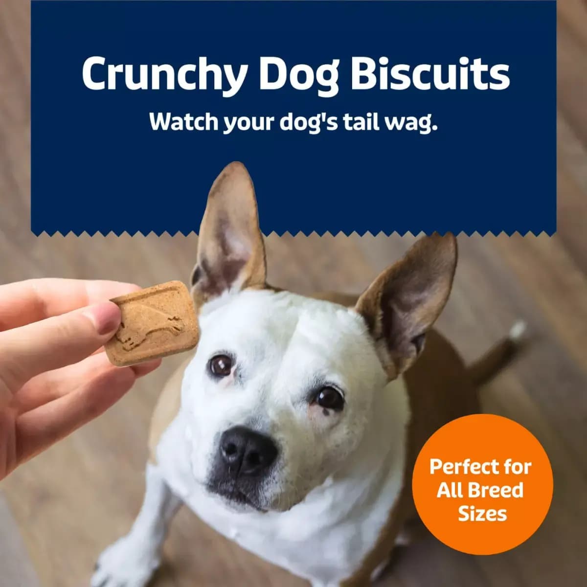 Blue Buffalo® Health Bars Pumpkin & Cinnamon Crunchy Dog Treats - 16 oz [Species Dog, Brand Blue Buffalo Health Bars, Food Type Treat, Breed Size All]