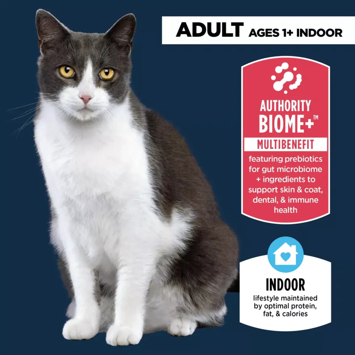 Authority® Everyday Health Indoor Cat Dry Food - Chicken & Rice, With-Grain [Brand Authority®, Life Stage Adult (Ages 1+), Health Consideration Everyday Health, Digestive Health, F