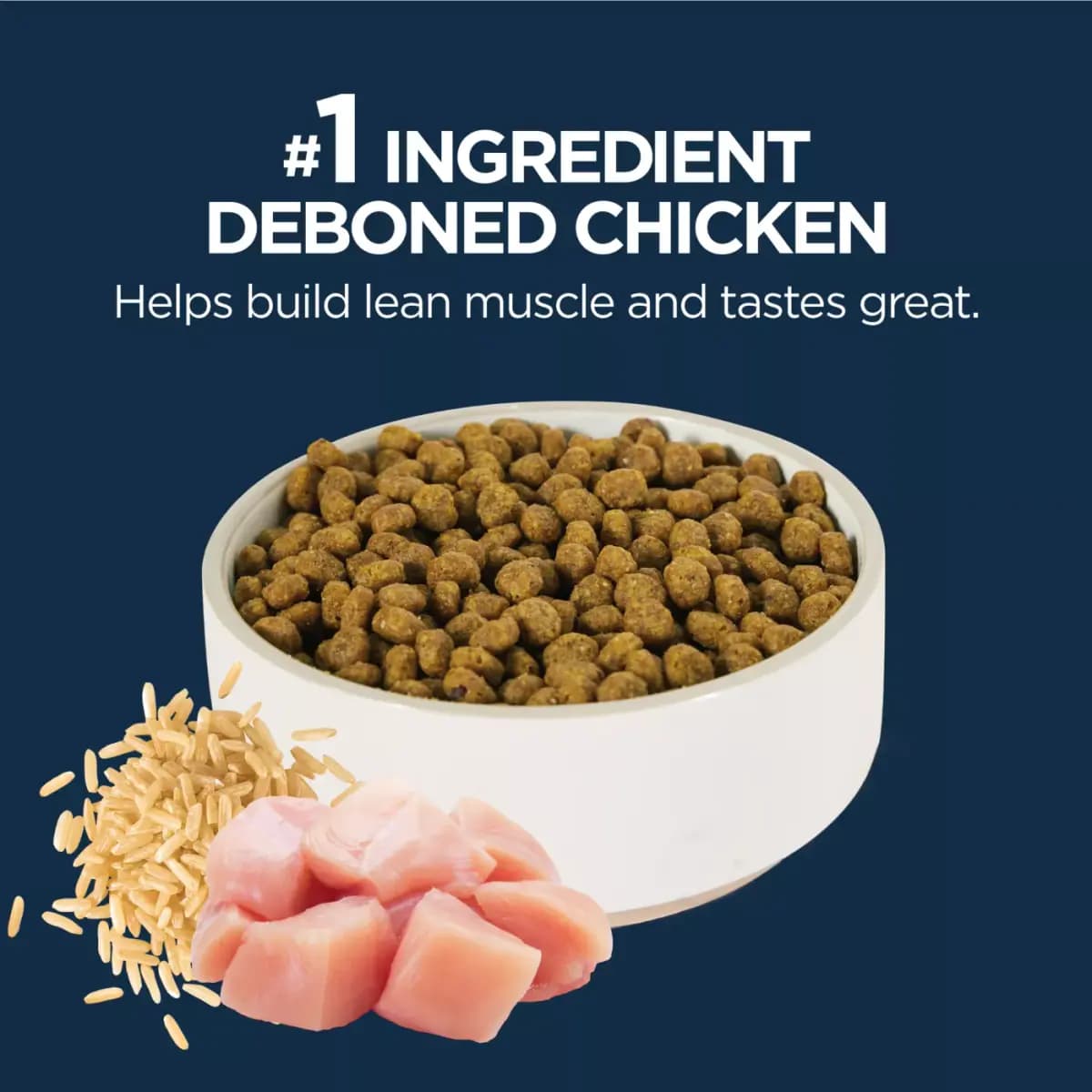 Authority® Everyday Health Indoor Cat Dry Food - Chicken & Rice, With-Grain [Brand Authority®, Life Stage Adult (Ages 1+), Health Consideration Everyday Health, Digestive Health, F