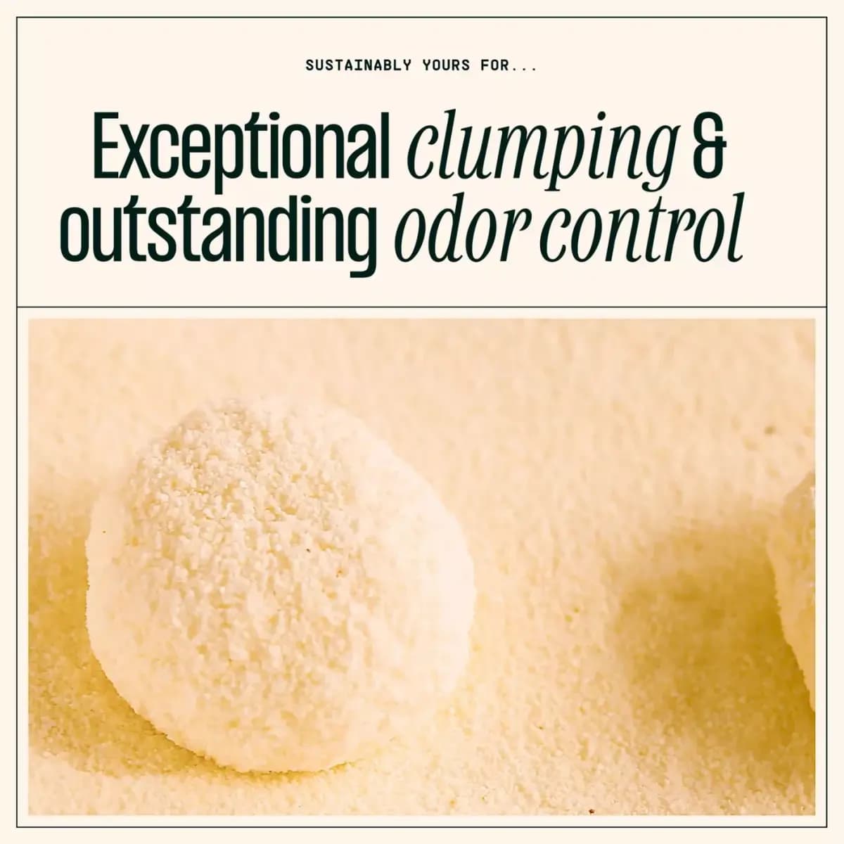 Sustainably Yours Mixed Grain Formula Corn & Cassava Unscented Cat Litter - Clumping, Low Dust [Species Cat, Brand Sustainably Yours, Weight 26 lb, Ingredients Corn and Cassava]