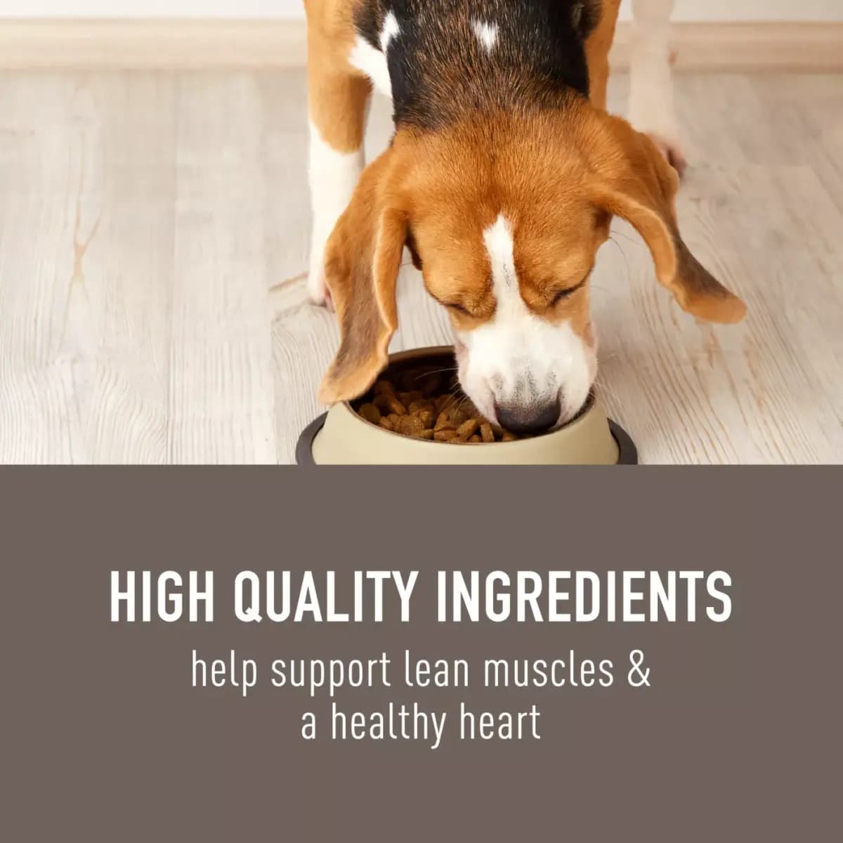 Simply Nourish Adult Dog Food - Fish & Brown Rice [Brand Simply Nourish, Food Type Dry, Life Stage Adult, Flavor Fish & Brown Rice]