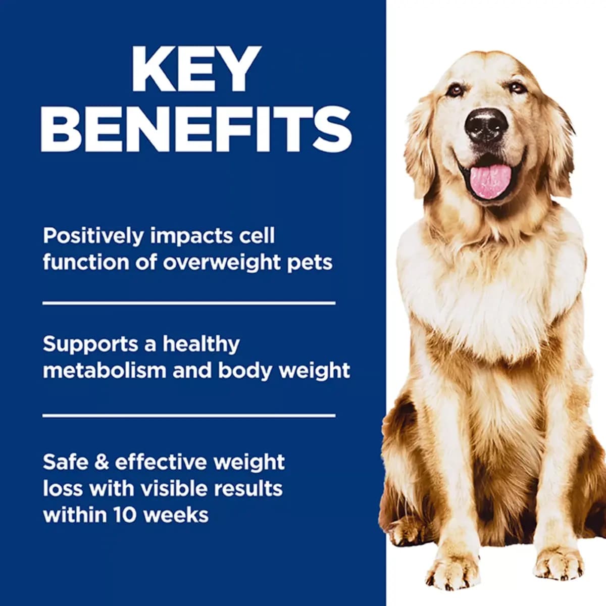 Hill's Science Diet Perfect Weight Adult Dry Dog Food - Chicken [Species Canine, Brand Science Diet, Food Type Kibble, Breed Size Canine|Adult 7+|Medium breeds]