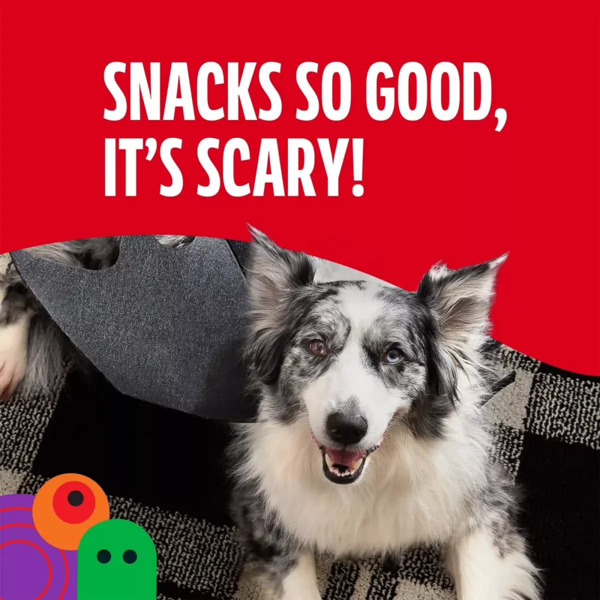 Milk-Bone Soft & Chewy Mini#s Graveyard Bones, Halloween Dog Treats, Beef & Filet Mignon Flavor [Species Dog, Brand Milk-Bone, Food Type Treat, Breed Size All]
