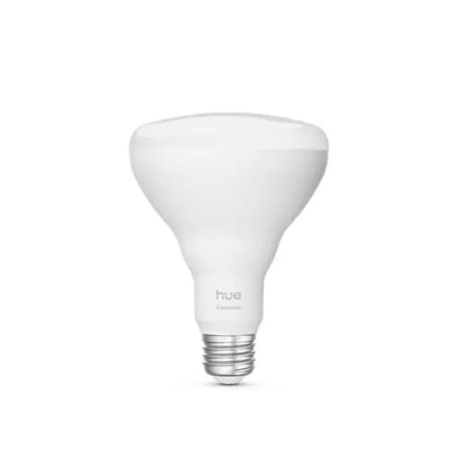 Philips Hue Essential BR30 - E26 smart bulb - 650 lm - 7.2W [046677592622, Yes, 95x129]