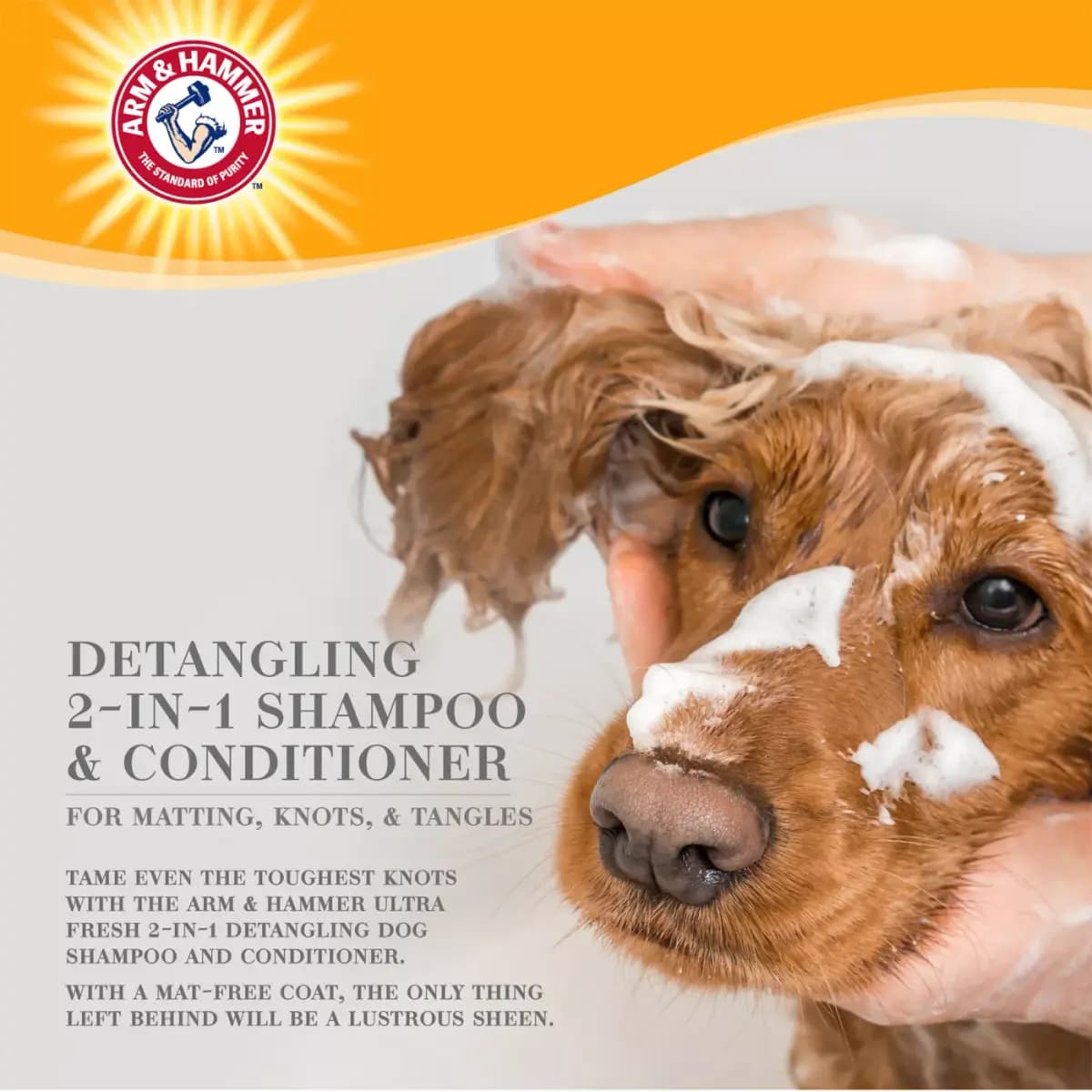 Arm & Hammer ™ Ultra Fresh 2-in-1 Detangling Dog Shampoo - Cucumber/Prickly Pear 16 oz [Intended For Dog, Includes 1 -16 oz bottle, Health Consideration Detangling, Total Weight 16