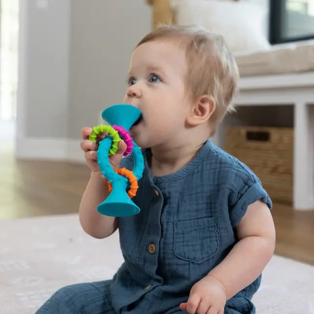 Fat Brain Toy Co. pipSquigz Loops [6 x 2 x 2 inches, 6 months, China]
