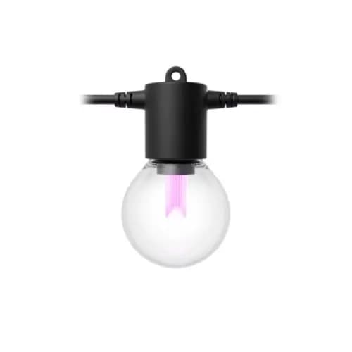 Philips Hue Hue Festavia globe outdoor string lights 22 ft [046677591380, Black, Synthetic]
