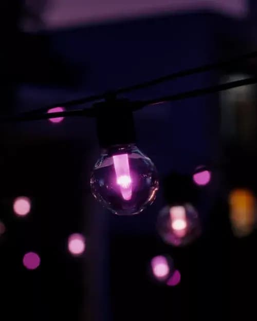Philips Hue Hue Festavia globe outdoor string lights 22 ft [046677591380, Black, Synthetic]