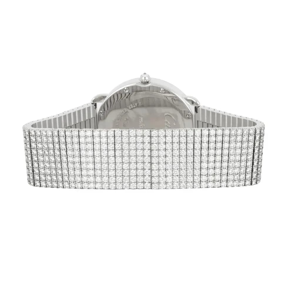 Cartier Revelation D'une Panthere HPI01356