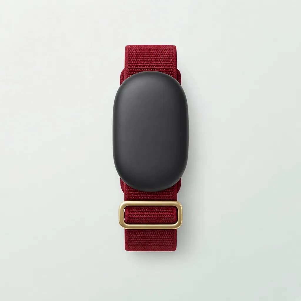 Google Fitbit Air, Berry