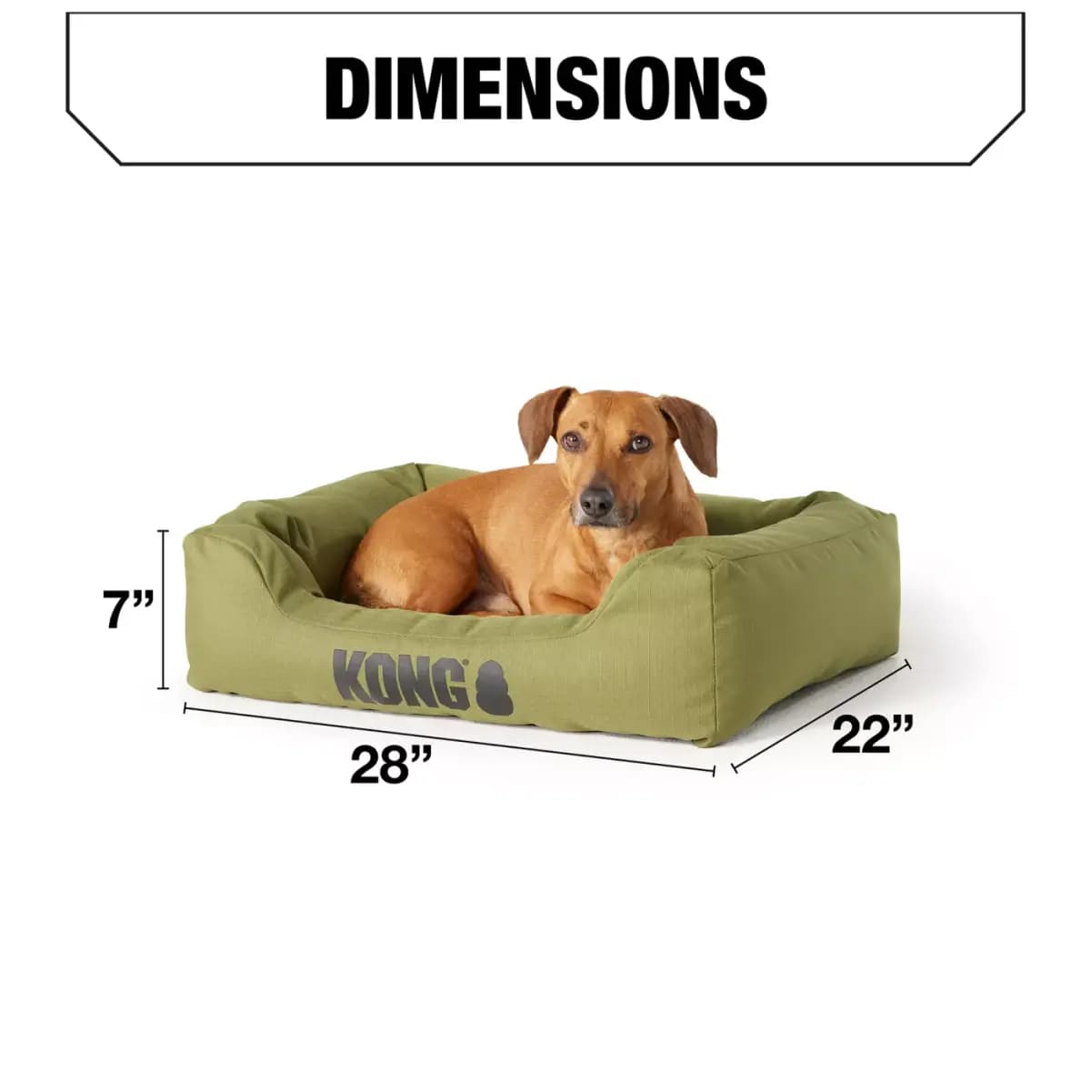 KONG® 4-Sided Durable Cuddler Medium Dog Bed, Water-Resistant, Multiple Colors, 28L x 22W [Includes 1 Cuddler Bed, Color Olive, Environment Indoors, Dimensions 28 in L x 22 in W x