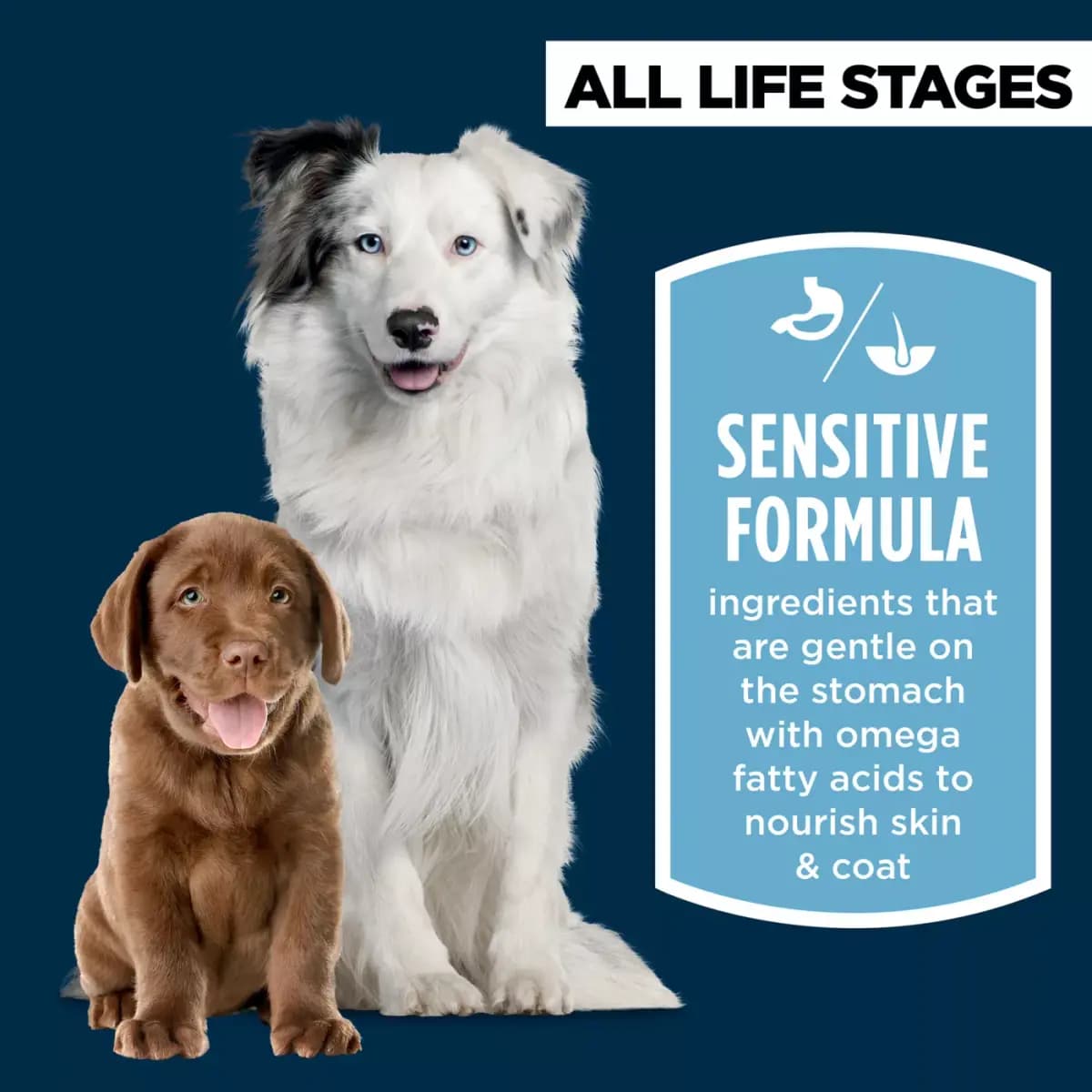 Authority® Sensitive Stomach & Skin All Life Stages Dry Dog Food - Salmon & Rice [Brand Authority®, Food Type Dry Dog Food, Life Stage All Life Stages, Health Consideration Sensiti