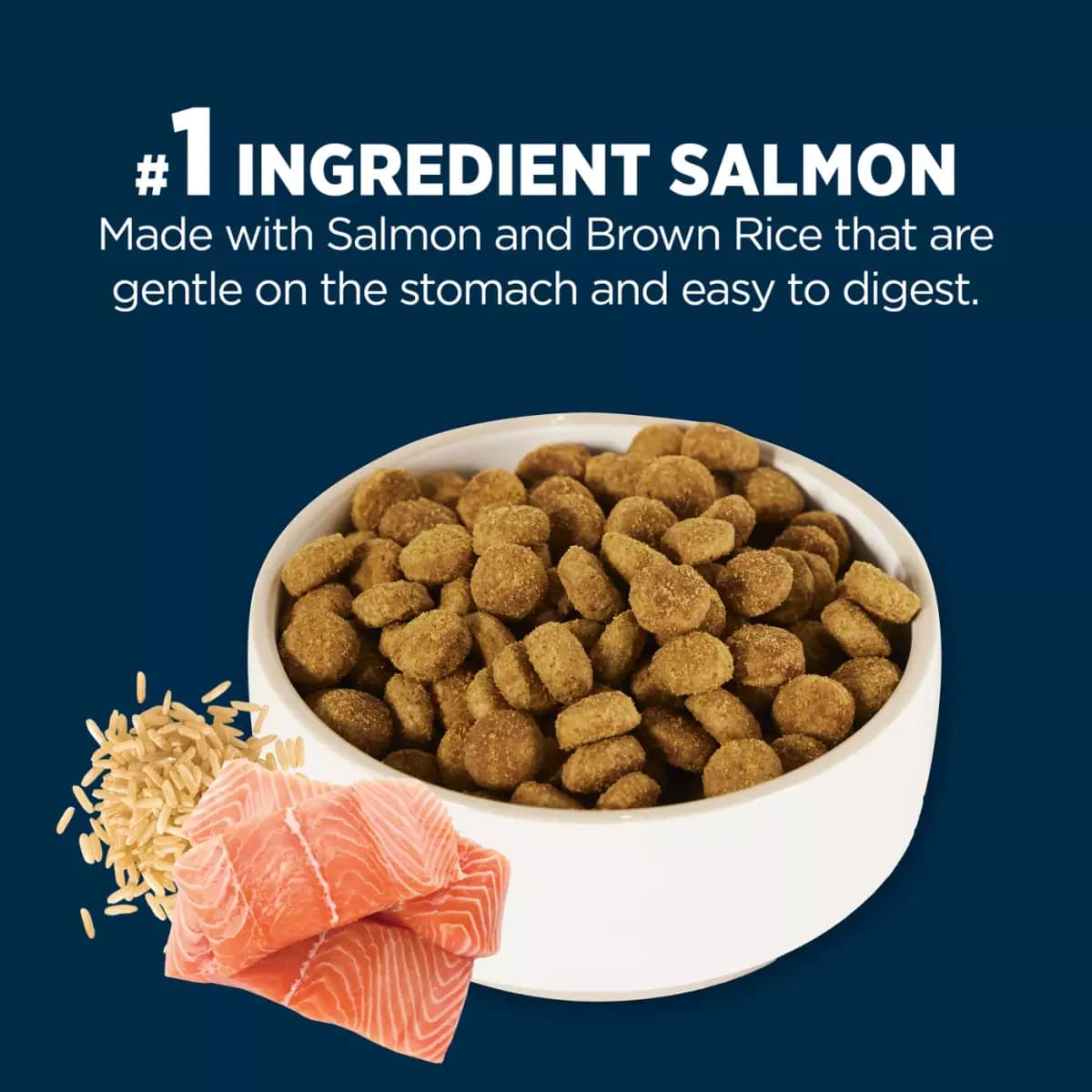Authority® Sensitive Stomach & Skin All Life Stages Dry Dog Food - Salmon & Rice [Brand Authority®, Food Type Dry Dog Food, Life Stage All Life Stages, Health Consideration Sensiti
