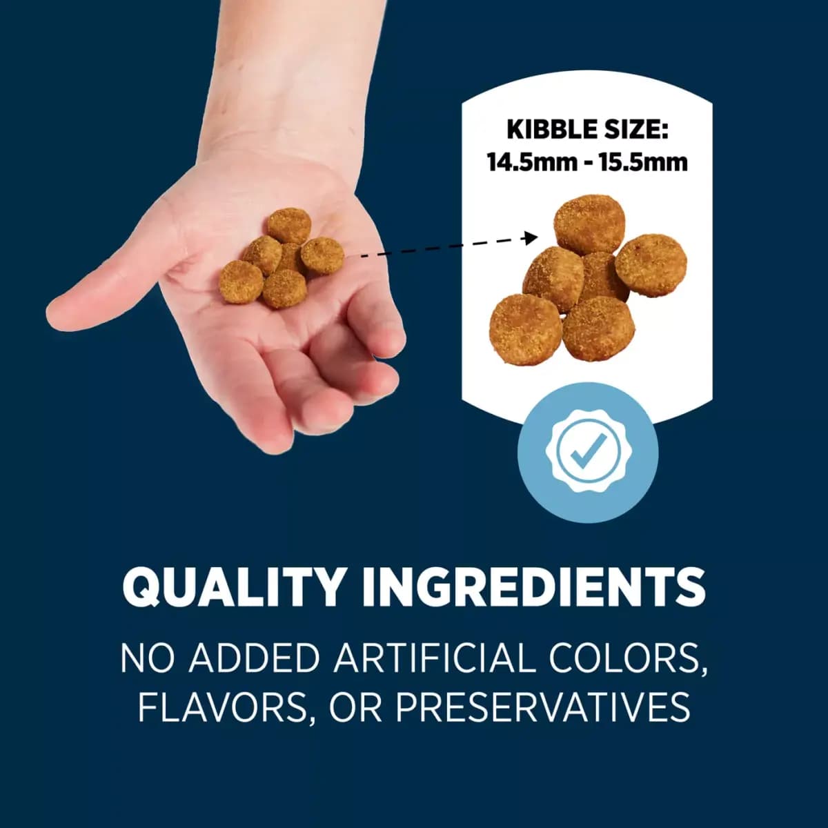 Authority® Sensitive Stomach & Skin All Life Stages Dry Dog Food - Salmon & Rice [Brand Authority®, Food Type Dry Dog Food, Life Stage All Life Stages, Health Consideration Sensiti